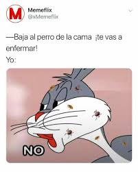 Meme stickers para whatsapp reúne los memes más graciosos y . Lo Mismo Pero Con El Gato Meme Gracioso Memes Divertidos Memes Graciosos