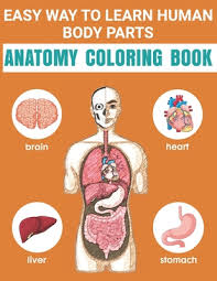 The image will be edited in jpeg format (eps not supported). Easy Way To Learn Human Body Parts Anatomy Coloring Book Easy Way To Learning Anatomy For Kids Over 50 Human Body Coloring Book Great Gift For Boys Paperback Hartfield Book Company
