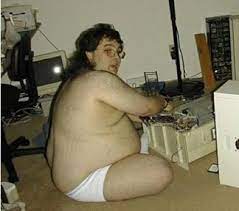 Herman miller aeron chairs size b basic. Fat Guy With Computer Caption Meme Generator