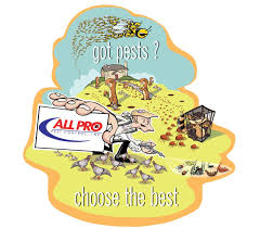 Pest control done by a professional, we are bedbug experts! All Pro Pest Control 2021 Khts Santa Clarita Home And Garden Show Home And Garden Shows In California 2021 Khts Santa Clarita Home And Garden Show Home And Garden Shows In California