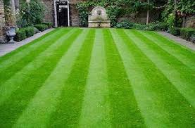 Their buildzoom score of 0 does not rank in the top 50% of illinois contractors. Bertog Landscape Bertoglandscape Twitter