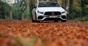 Image result for Hyacinth Red 2016 CLE