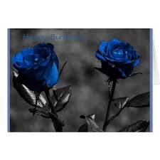 Black And Blue Roses Images Blue And Grey Blue Roses Birthday Greeting Card Zazzle Com Blue Roses Wallpaper Rose Flower Wallpaper Black Rose Flower