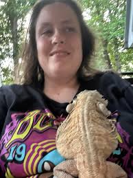 My daughter's 10ish month old beardie, Berry Dragonow. He was her 7th  birthday gift. We actually took her to Snake Discovery in Minnesota to  fulfill her dream of meeting Emily and Ed(from