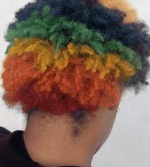 Dog hair dye is the hottest trend in pet grooming, with a little creativity you can dye your dog's hair using opawz permanent hair dye to give your dog a unique style! 5 Tips For Creative Color On Dark Hair Behindthechair Com