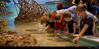 This is not as easy as it sounds. Boston Family Vacation Ideas Attractions Activities More For Summer Vacation