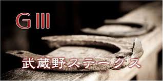 2025 武蔵野ステークス 過去１０年のデータと傾向 | TURFに吹く風