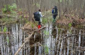 Tahukah anda bahwa arti dari mimpi melihat air jernih dan dalam mungkin mempunyai makna yang baik atau bahkan buruk bagi kehidupan anda. Interpretasi Mimpi Paya Apa Yang Bermimpi