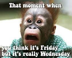 Maybe you would like to learn more about one of these? 60 Funniest Hump Day Memes To Survive Wednesdays