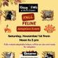 Fall Feline Adoption Event event image