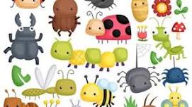 Tadpole Time: Bugs