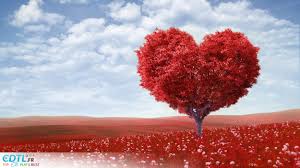 Résultat de recherche d'images pour "belle image"