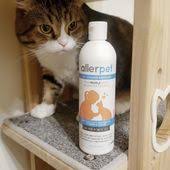 別再因為過敏棄養貓了 對貓過敏怎麼辦 愛貓誌 cat allergies cat dander allergies