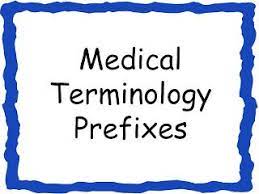 Published by quizlet (considered to be the largest flash cards and study games website on the internet) tutorial: Pin By Careerstep On Medical Coding Billing Specialists Medical Terminology Flash Cards Medical Terminology Medical Terminology Study