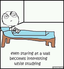 Staring In Wall Is Really Interested Funny Meme Comics Funny P Funny Memes