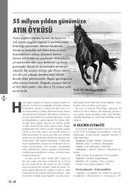 Pdf Sakinc M 2007 55 Milyon Yildan Gunumuze Atin Oykusu Bilim Ve Gelecek Dergisi 45 34 7