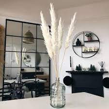 Off White Pampas Dried Pampas Bleached Pampas Pampas For Home Decor Wedding Decor Party Decor Tall Pampas Home Decor Uk Black And White Living Room Decor Home Decor Uk Home Decor