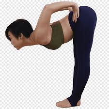 Maybe you would like to learn more about one of these? Hip Yoga Uttanasana Tadasana Urdhva Vrikshasana Yoga Internacional Aptitud Fisica Brazo Png Pngegg