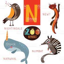 Cute Zoo Alphabet In Vector N Letter Funny Cartoon In 2020 Narwhal Pictures Cartoon Animals Funny Cartoon