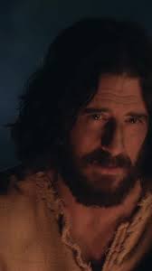 Matthew 18:21 “Then Peter came to Jesus and asked, “Lord, how many times  shall I forgive my brother or sister who sins against me? Up to seven  times?” #jesuschrist #faith #fyp #foryoupage #god