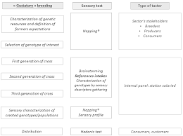 Heymann sensory evaluation of food ? Https Orgprints Org 38095 1 Tasting 20guide Diversifood 2018 Vf Pdf