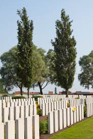 Messines Ridge British Cemetery - Wikipedia