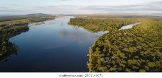 Image result for Habenaria debeerstiana