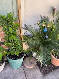 New to the group, live in a quad-plex so limited