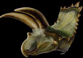 Every Dinosaur Discovered Over The Past Five Years Prehistoric Animals Dinosaur Pictures Prehistoric