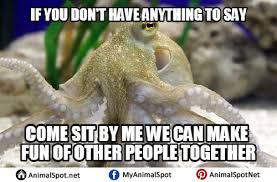 Funny Octopus Memes Funny Animal Memes Animal Memes Octopus