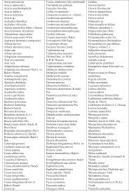 Image result for Cassipourea mollis