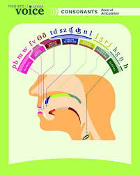 Consonants Points Of Articulation Repinned By Sos Inc