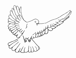Imagenes de tortolas para dibujar. Dove Coloring Pages Best Coloring Pages For Kids