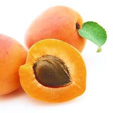 Tout Sur L Huile De Noyau D Abricot Noyau Abricot Abricot Photographie De Fruit