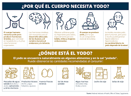Dr Palig Wellness Que Comer Para No Tener Problemas De Tiroides