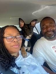 Adopting pets and clearing animal shelters