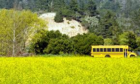 Next Stop For Retired School Buses Tiny Houses For Homeless