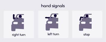 From experience, three hand signals are asked on the dmv driving test: How To Use Hand Signals For Driving