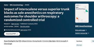 Image result for Superior Trunk Block