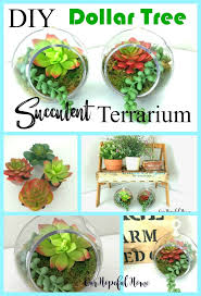 Simple Dollar Tree Diy Succulent Terrariums Diy Succulent Terrarium Faux Succulents Diy Terrarium Diy
