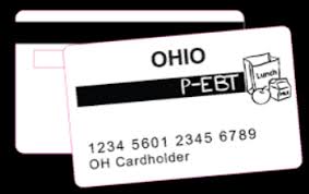 Wait through two card number prompts without entering your ebt card number and you will hear a prompt to report your card as lost or stolen. P Ebt Issued To Whitehall City Schools Families
