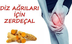 Account Suspended Zerdecal Saglik Beslenme