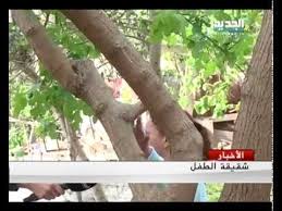 طفل قتلته أرجوحة في شحيم Youtube