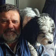 Wading birds in New Zealand habitat and characteristics