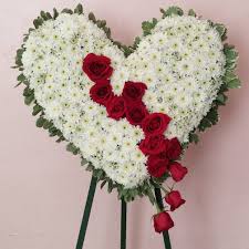 We did not find results for: Bleeding Heart Chrysanthemums By Chita S Floral Designs