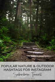 Popular Nature Hashtags And Outdoor Hashtags For Instagram 2021 Forest Photography Forest Pictures Forest Images