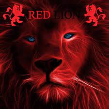Some sea lions can stay underwater for over half an hour without taking a breath; The Red Lion Benidorm Home Facebook
