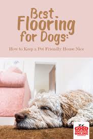 What Is The Best Flooring For Dogs Training Your Dog Pet Friendly Flooring Pets