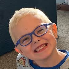 Where are fest activities held in Findlay?