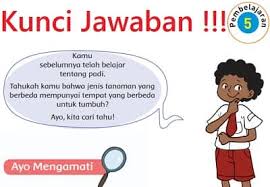 Kunci Jawaban Tema 3 Kelas 4 Sd Halaman 32 33 34 36 37 39 40 Lengkap